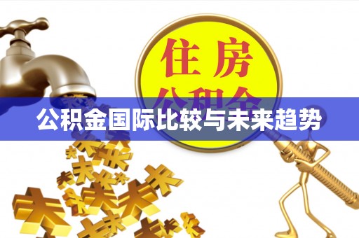 嘉峪关公积金国际比较与未来趋势