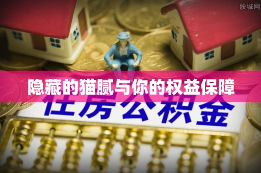 嘉峪关隐藏的猫腻与你的权益保障
